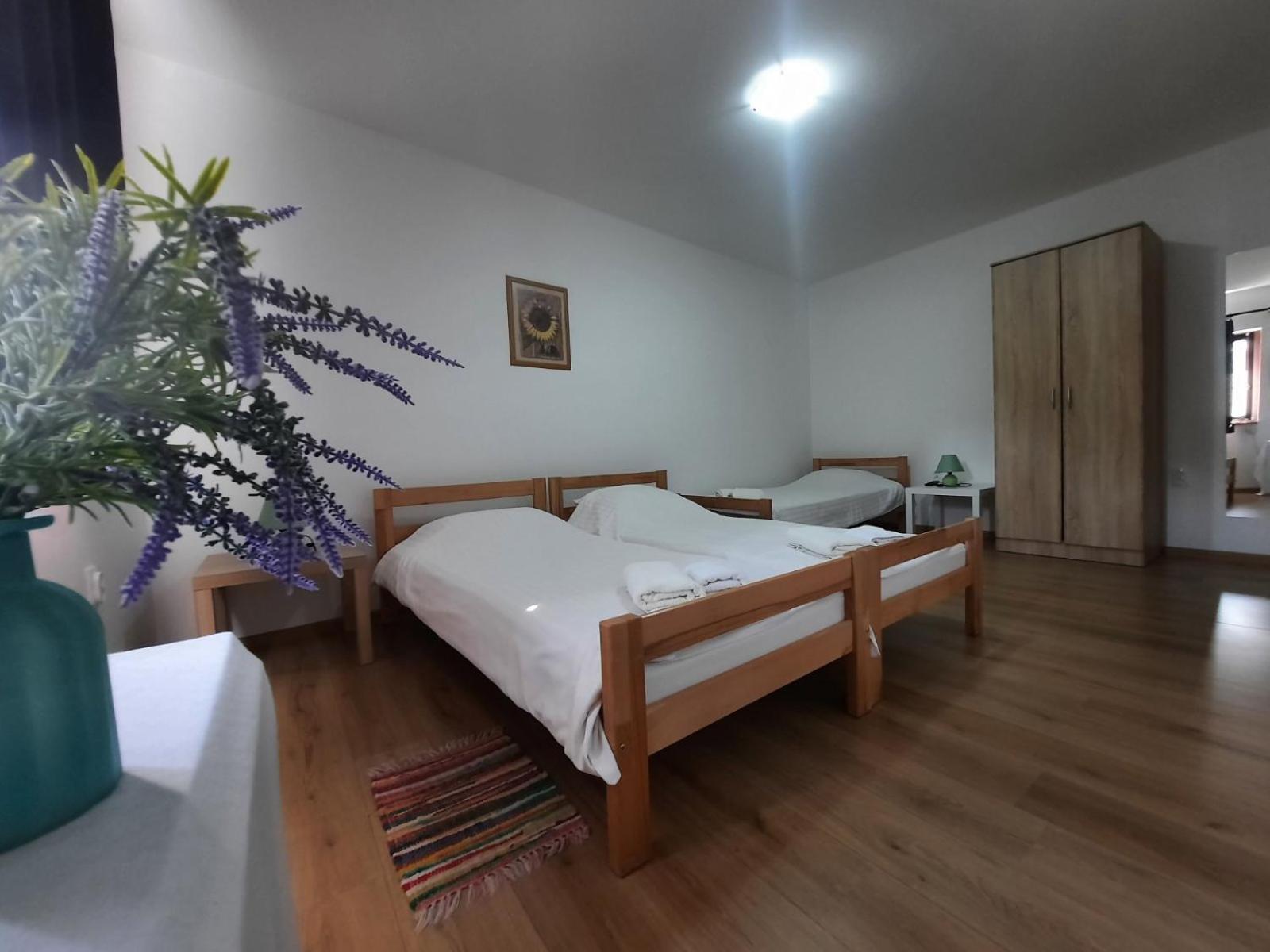 Apartmani Sunflower Sremski Karlovci Exterior photo